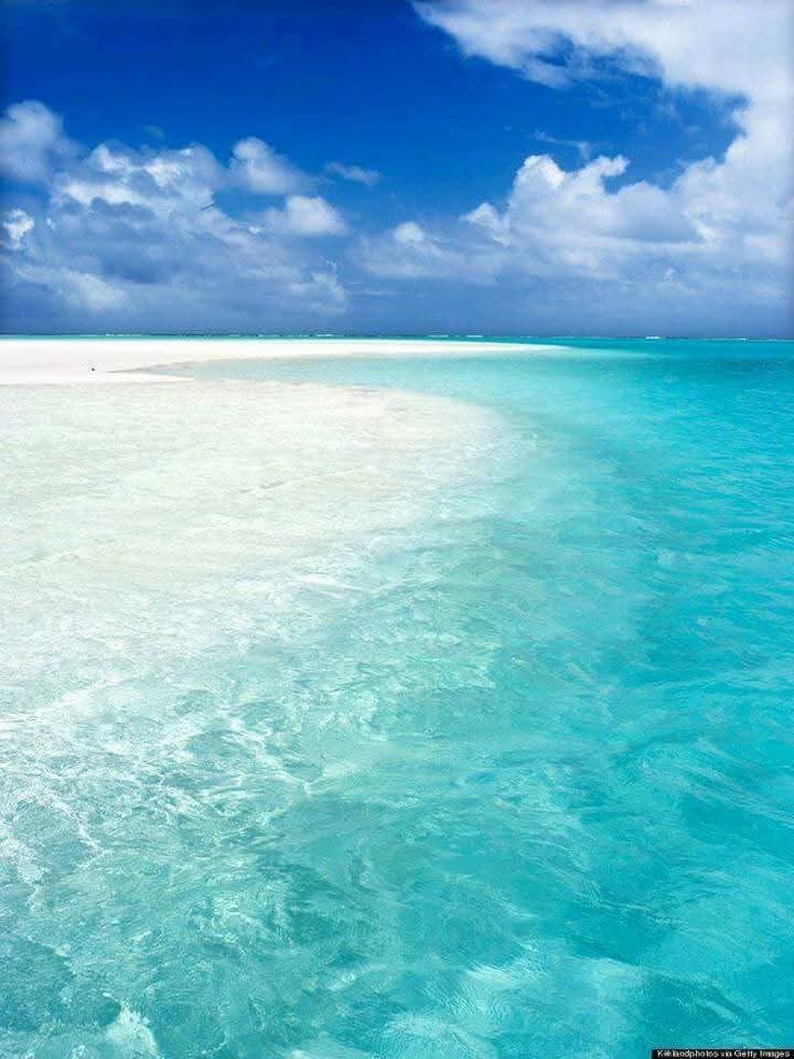 Sandbank at low tide